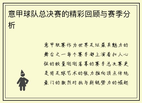 意甲球队总决赛的精彩回顾与赛季分析